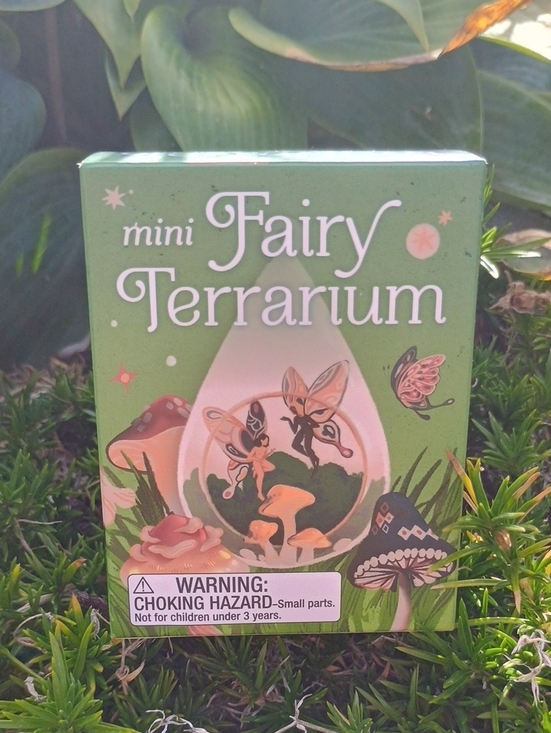 Other - Mini Fairy Terrarium Box - Build Your Own Fairy Terrarium NIB